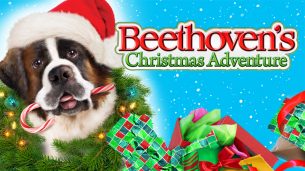 Beethoven’s Christmas Adventure (2011)